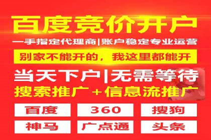 经典案例：SEM代运营服务公司的成功之路